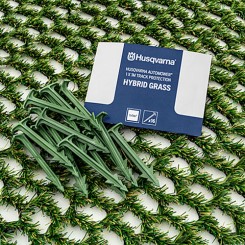 Hybrid Grass